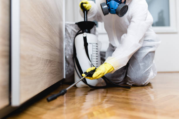 Best Flea Control Services  in Vla Grove, IL