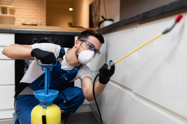 Best Local Pest Control Services  in Vla Grove, IL