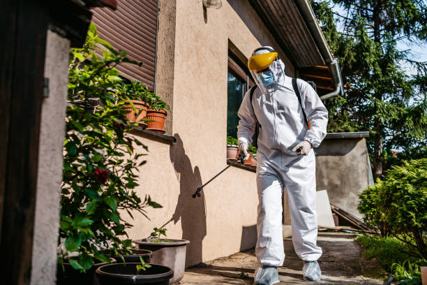Best Residential Pest Control  in Vla Grove, IL