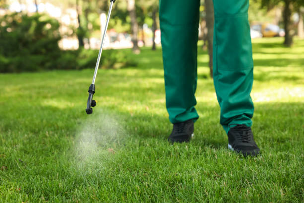 Best Bed Bug Extermination  in Vla Grove, IL