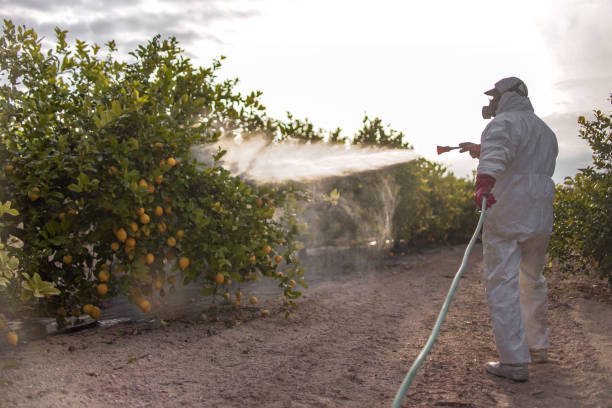 Best Best Pest Control Companies  in Vla Grove, IL