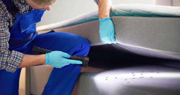 Best Best Pest Control Companies  in Vla Grove, IL