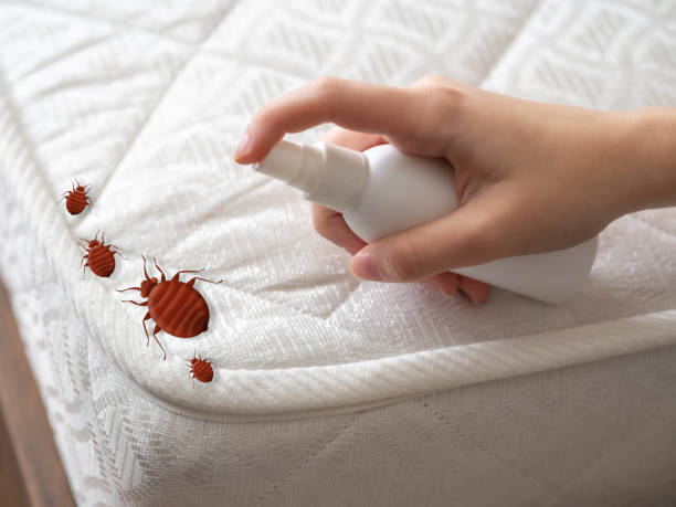  Vla Grove, IL Pest Control Pros