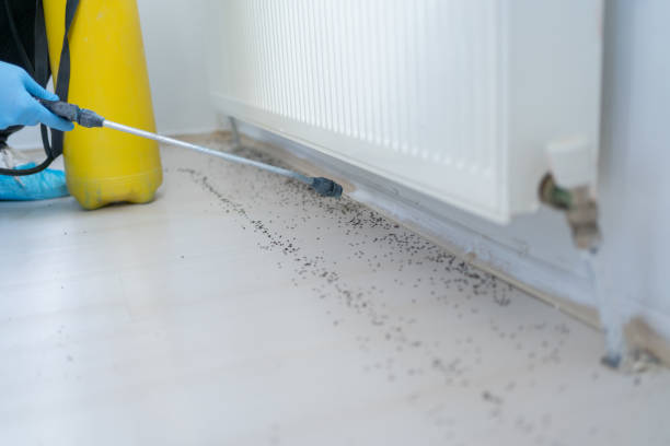 Best Cockroach Control Services  in Vla Grove, IL