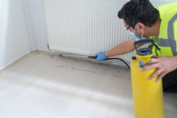 Best Pest Control for Businesses  in Vla Grove, IL